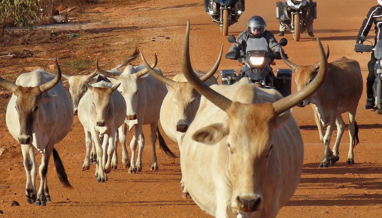 viajar en moto a dakar