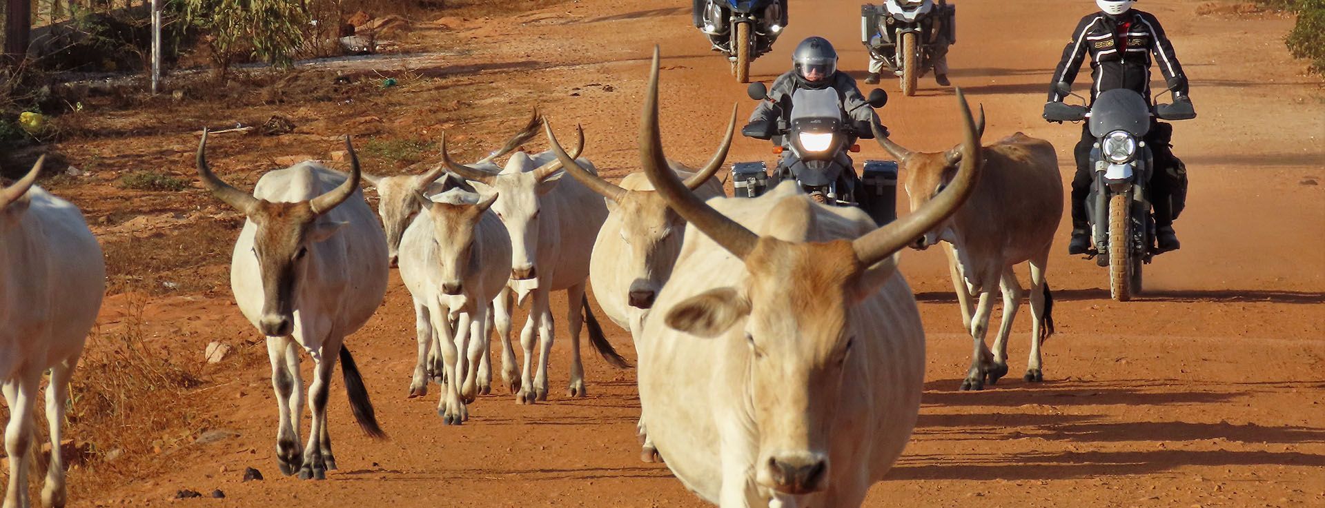 viajar en moto a dakar